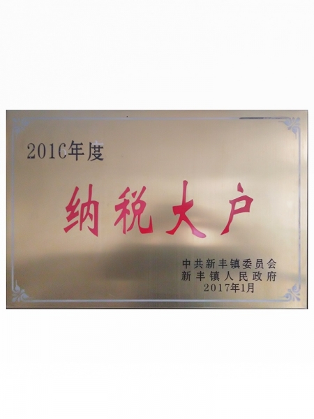 2016年度纳税大户